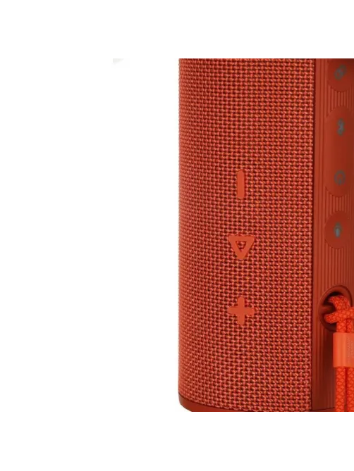Акустическая система Honor Choice Speaker Pro Orange (5504AAVU / VNC-ME00)