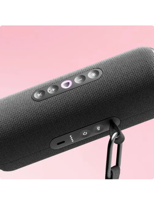 Умная колонка Яндекс Станция Стрит с Алисой, чёрный (YNDX-00030BLK)
