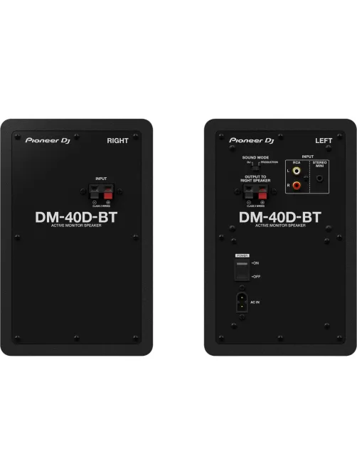 Акустическая система Pioneer DJ DM-40D-BT