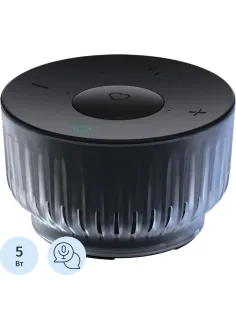 Умная колонка SberBoom Mini 2, квантовый чёрный (SBDV-00250A)