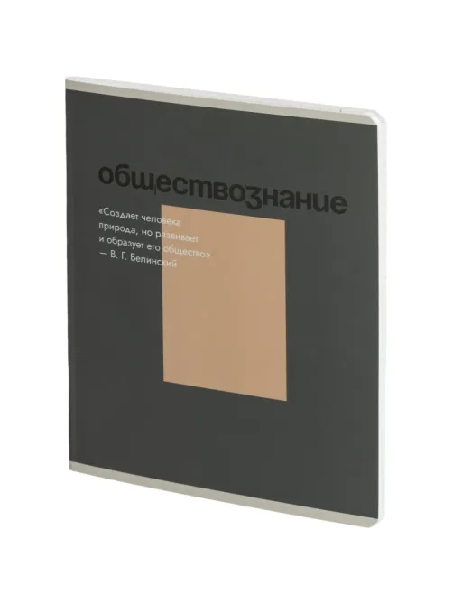 Тетрадь предметная Комус Класс Минимализм, 48 л., А5, кл., ОБЩЕСТВОЗНАНИЕ