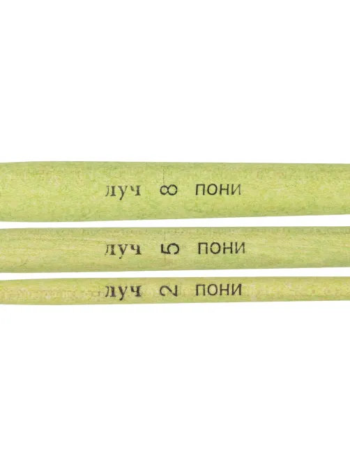 Набор кистей ZOO, 3 шт. ПОНИ (круглые № 2, 5, 8) 33С 2183-08
