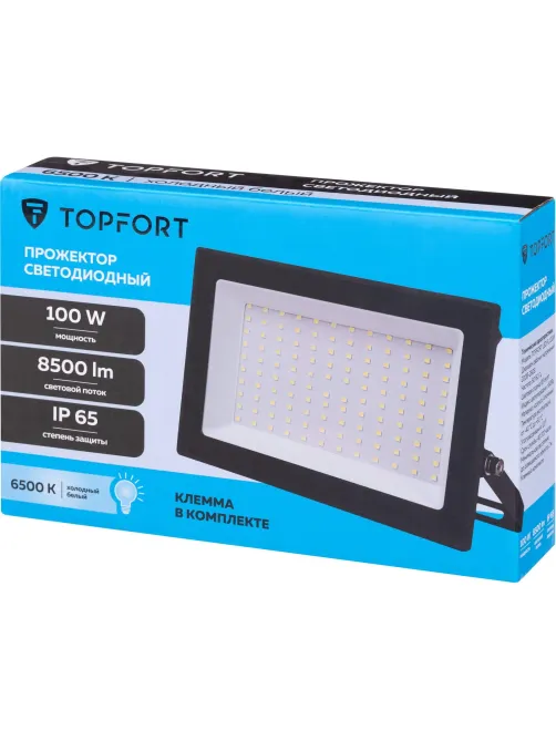Прожектор светодиодный Topfort LED FL 100W 6500K IP65