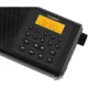 Радиоприемник Hyundai H-PSR115 черный USB microSD