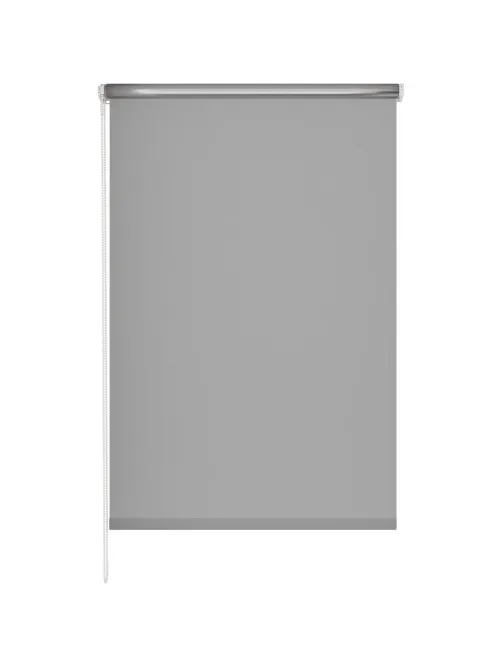 Рулонная штора Комус Мебель blackout silver 537837 V2, 60х160, серый