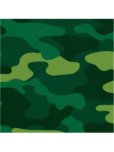 Салфетки бумажные Милитари 33X33см 12шт/уп арт.6046125