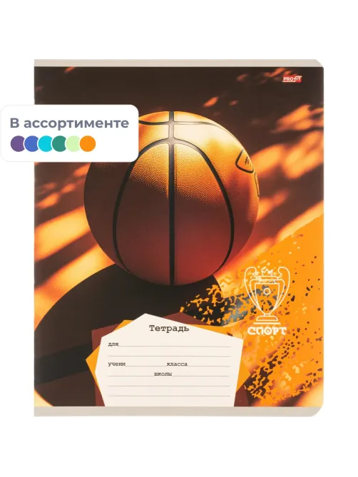 Тетрадь КЛЕТКА 18л. РАЗНЫЕ МЯЧИ-2 обл.-мел.карт,ассорти 18-4313