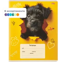 Тетрадь КЛЕТКА 18л. ОБАЯТЕЛЬНЫЕ ПЁСИКИ обл.-мелов.картон,ассорти 18-4310
