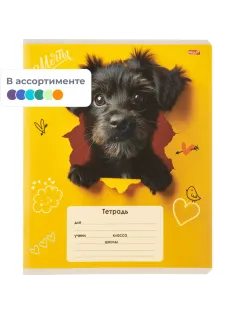 Тетрадь КЛЕТКА 18л. ОБАЯТЕЛЬНЫЕ ПЁСИКИ обл.-мелов.картон,ассорти 18-4310