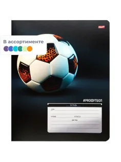 Тетрадь КЛЕТКА 12л. ФУТБОЛЬНЫЕ МЯЧИ - 20 цвет. мелов.обл.ассорти 12-0924)