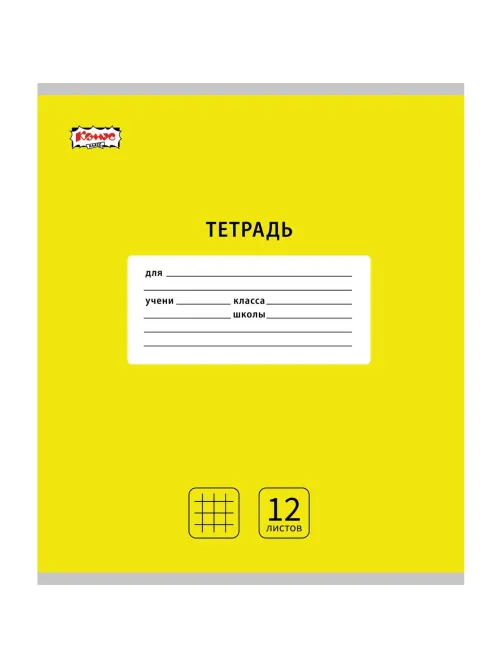Тетрадь школьная А5, 12 л. клетка, Интенсив АССОРТИ, 10шт/уп арт.1711051