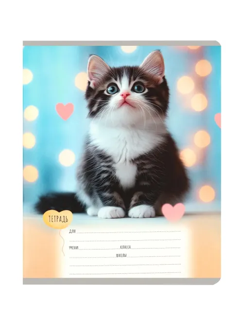 Тетрадь КЛЕТКА 12л. МИЛЫЕ КОТЯТА - 7  цвет. мелов.обл., асоорти 12-0912