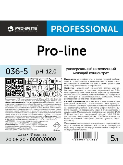 Профхим интерьер д/уборки,д/пластика Pro-Brite/Pro-line,5л