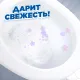 Средство для сантехники  Утенок жидкий Видимый Эффект 900мл
