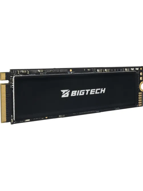 SSD накопитель BigTech M.2 PCIex4 gen4 256Gb, R/W 4800/2600Мб/с(BSDS256M4M)
