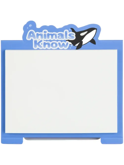 Стикеры с клеевым краем M&G Animal Planet, 76x101мм, 40 л, цвет в ассорт