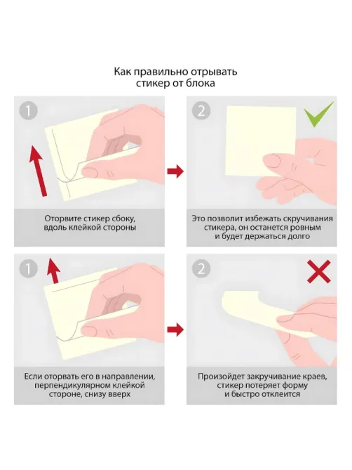 Стикеры с клеевым краем M&G Adorable Pet, 76x100 мм, 40 л, в ассортименте