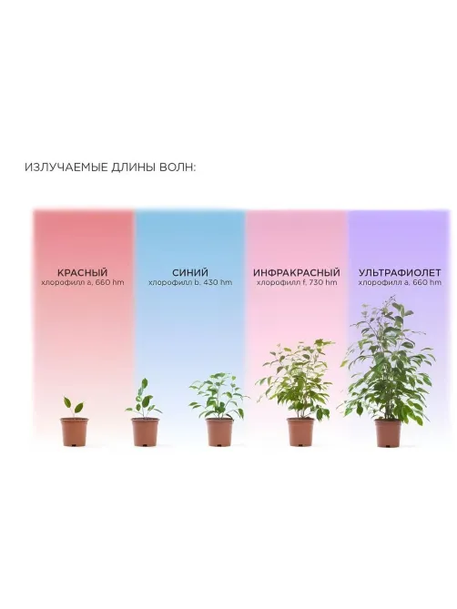 Фитосветильник светодиодный СПБ-Т5-ФИТО сине-крс спектр 10Вт 570мм IN HOME