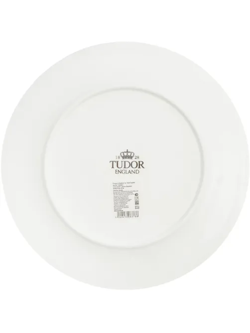 Тарелка обеденная TUDOR ENGLAND Royal Circle 26см 6шт/уп