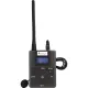 Радиогид Radiosync SGTR01 система на 15 экскурсантов