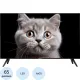 Телевизор Topdevice TDTV65ES13U_BK, UHD, смарт (WildRed)