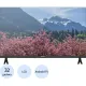 Телевизор Blackton Bt 32FS01B, HD ready, смарт (Android)