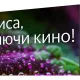 Телевизор BBK 55LEX-8246/UTS2C, UHD, смарт (Яндекс)