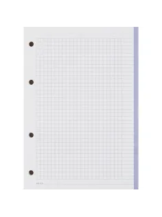 Сменный блок для тетрадей на кольцах, BeSmart А5 120л клетка Цветной N001d