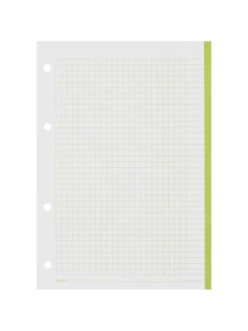 Сменный блок для тетрадей на кольцах, BeSmart А5 120л клетка Цветной N001d