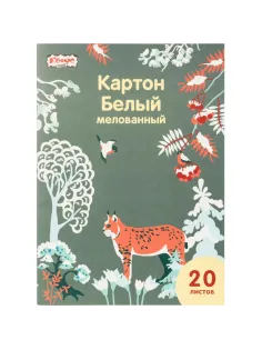 Картон белый  20л ,А4, Комус Класс Живая природа, мелов