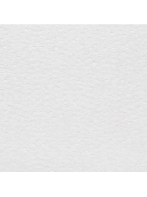 Бумага туалетная д/дисп Focus Smart T3 Vсл 2сл250л15пач/уп_5103035/50204100