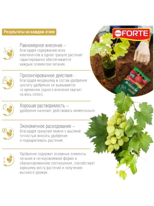 Удобрение Bona Forte гранулированное Хвойн. с кремнием,пакет5 кг,BF23010421