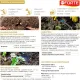 Удобрение Bona Forte гранулированное Хвойн. с кремнием,пакет5 кг,BF23010421