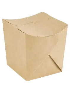 Упаковка ECO NOODLES 500g (480шт/кор)