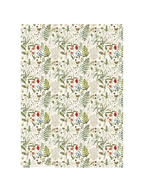 Бумага упаковочная FLORA.ЛУГОВЫЕ ТРАВЫ, 50 х 70 см (4 листа) 2-794/01
