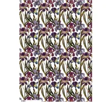 Бумага упаковочная FLORA.ИРИСЫ, 50 х 70 см (4 листа), 2-794/03