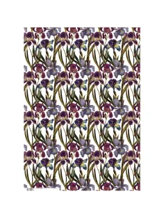 Бумага упаковочная FLORA.ИРИСЫ, 50 х 70 см (4 листа), 2-794/03