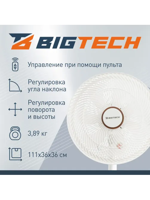 Вентилятор напольный BigTech WBF002 с пультом