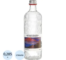 Вода минеральная Шамбала Горная природная стекло газ 0,585л