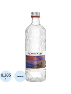 Вода минеральная Шамбала Горная природная стекло газ 0,585л