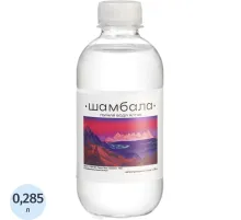 Вода минеральная Шамбала Горная природная негаз ПЭТ 0,285л