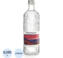 Вода минеральная Шамбала Горная природная негаз стекло 0,585л