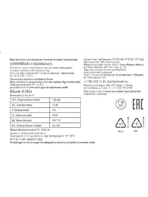 Вода минеральная Шамбала Горная природная стекло газ 0,585л