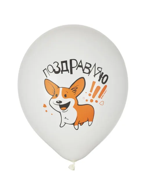 Набор шаров WHITE&ORANGE Корги СДР 5шт/уп в ассортимен M 12/30см 6073138