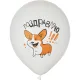 Набор шаров WHITE&ORANGE Корги СДР 5шт/уп в ассортимен M 12/30см 6073138