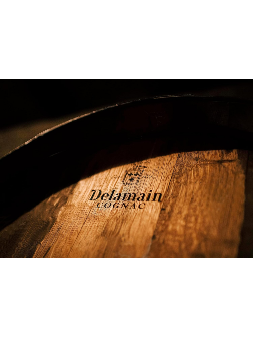 Коньяк Delamain Pale & Dry XO, 0.5л
