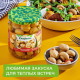 Шампиньоны Бондюэль маринованные, 350г