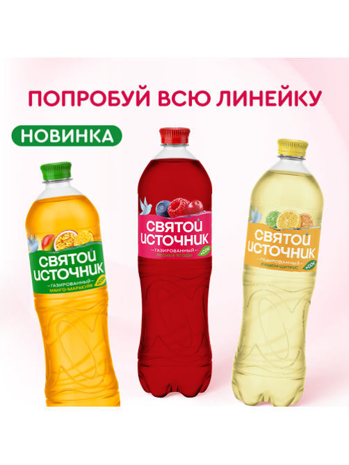Вода сокосодержащая Святой Источник со вкусом цитрусов и витаминами газированная, 500мл х 12 шт