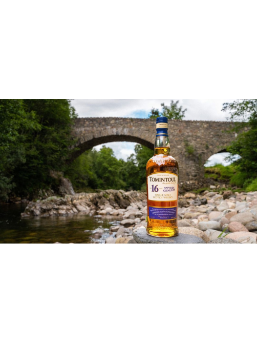 Виски шотландский Tomintoul Speyside Glenlivet 16 лет в подарочной упаковке, 0.7л