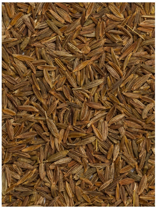 Кумин (зира) Kotanyi целый, 20г